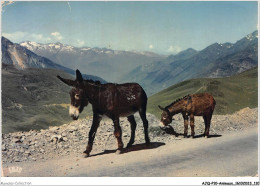 AJQP10-0989 - ANIMAUX - EN ROUTE POUR LE TOURMALET  - Donkeys