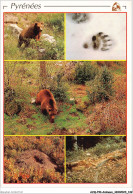 AJQP10-1000 - ANIMAUX - OURS  - Bears