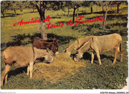 AJQP10-0990 - ANIMAUX - AMITIES DE TOUTE LA FAMILLE  - Donkeys