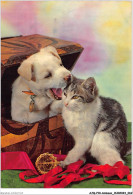 AJQP10-0965 - ANIMAUX - CHAT ET CHIEN  - Cats