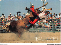 AJQP10-0970 - ANIMAUX - TEXAS RODEO  - Stiere