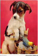 AJQP10-0946 - ANIMAUX - CHIEN ET OISEAU  - Dogs