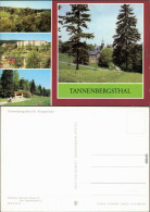 Tannenbergsthal (Vogtland)-Muldenhammer Sommerliche Szene  984 - Andere & Zonder Classificatie