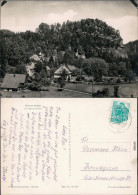 Oybin Blick Auf Den Berg Oybin Foto Ansichtskarte  1960 - Oybin