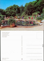 Potsdam Schlosspark Sanssouci: Sizilianischer Garten 1977 - Potsdam