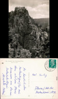 Ilsenburg (Harz) Blick Auf Den Ilsestein (474 M ü. D. M.) 1960 - Sonstige & Ohne Zuordnung