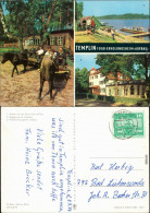 Templin 1. Ausfahrt Mit Den Ponys Lissy Und Fips, 2. Badestrand   Lübbesee 1974 - Templin