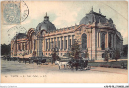 AJSP5-75-0413 - PARIS - Le Petit Palais - Sonstige Sehenswürdigkeiten