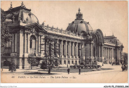 AJSP2-75-0150 - PARIS - Le Petit Palais - Other Monuments