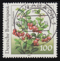 1508 Rennsteig PLF Strich In Roter Beere, Gestempelt SCHWABACH 10.2.92 - Varietà E Curiosità