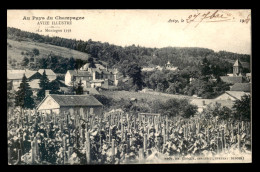 51 - AVIZE - LA MONTAGNE - VIGNES - Autres & Non Classés