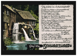 Landwirtschaft Schwarzwaldmühle Bach Mühlrad Gruß Vom Schwarzwald, Ungebraucht - Other & Unclassified
