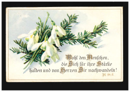 AK Blumen Schneeglöckchen Reisig Wohl Den Menschen Psalm 84, Stuttgart 25.2.1928 - Altri & Non Classificati