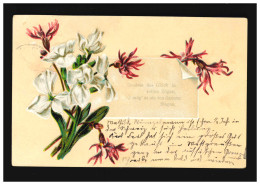 AK Blumen Rosa Nelken Weisse Blüten, Geniess Das Glück, Burg (Dithm) .27.6.1908 - Otros & Sin Clasificación