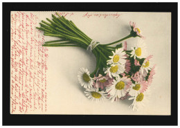 AK Blumen Strauß Rosa Und Weiße Margeriten Farbenlichtdruck, Würzburg 16.6.1911 - Other & Unclassified