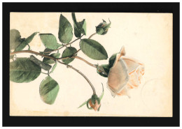 AK Blumen Gelbe Rose Zweig Blüte Knospen, Berlin 30.10.1907 - Other & Unclassified