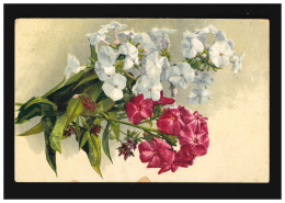 AK Blumen Stilleben Rot Weiss Blüten Zweige Stauden-Phlox, Meschede 29.11.1924 - Sonstige & Ohne Zuordnung