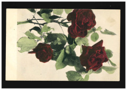 AK Blumen Dunkelrote Rose Zweig Blätter Serie 155, Hamburg 24.7.1907 - Sonstige & Ohne Zuordnung