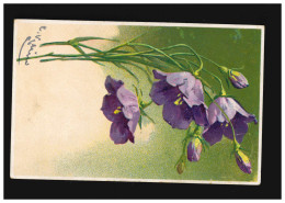 AK Blumen Zweig Waldrapunzel Glockenblume Signiert, Abensberg 9.6.1917 - Other & Unclassified
