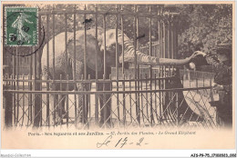 AJSP9-75-0812 - PARIS - Ses Squares Et Ses Jardins - Jardin Des Plantes - Le Grand Eléphant - Parks, Gärten