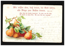 AK Blumen Zweig Birnen Bibel Psalm Römer 8, Vers 28, Mellendorf 7.9.1911 - Altri & Non Classificati