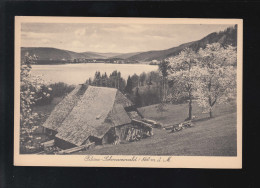 Landwirtschaft Bauernäuser Titisee Schwarzwald Baumblüte, Ungebraucht - Other & Unclassified