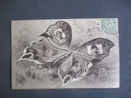 PORTRAIT FEMME DANS AILE DE PAPILLON BUTTERFLY - Frauen