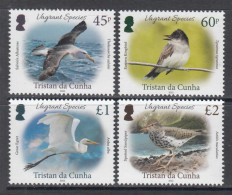 2022 Tristan Da Cunha Vagrant Species Birds Complete Set Of 4 MNH - Tristan Da Cunha