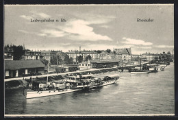 AK Ludwigshafen A. Rh., Schiffe Am Rheinufer  - Ludwigshafen