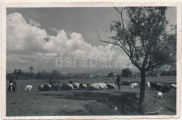 Medias 1942 - Roemenië