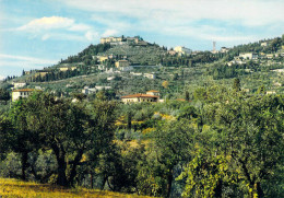 Florence (Firenze) - Collines De Fiesole - Firenze