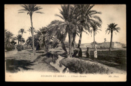 ALGERIE - SAHARA - OASIS DE ZAOUIA - Other & Unclassified