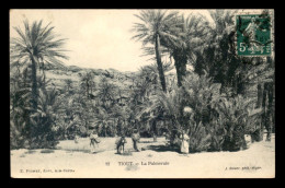 ALGERIE - SAHARA - TIOUT - LA PALMERAIE  - EDITEUR GEISER - Other & Unclassified