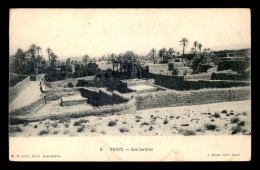 ALGERIE - SAHARA - TIOUT - LES JARDINS - EDITEUR GEISER - Autres & Non Classés