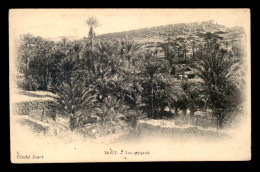 ALGERIE - SAHARA - TIOUT - VUE GENERALE - Sonstige & Ohne Zuordnung