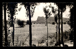 ALGERIE - SAHARA - TAMANRASSET - COOPERATIVE SCOLAIRE - Sonstige & Ohne Zuordnung