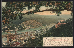 AK Heidelberg / Neckar, Gesamtansicht Von Der Sprunghöhe Aus  - Heidelberg