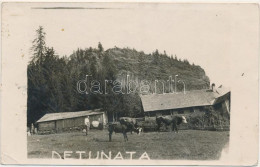 Rosia Montana 1936 - Detunata - Roumanie