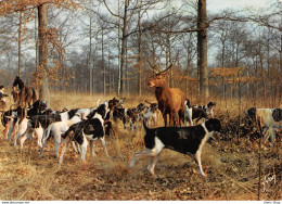 CHASSE A COURRE , Dans Les Forêts De France Par Barbier Petit , Ed. Yvon Cpsm GF ( ͡♥ ͜ʖ ͡♥) ♥ - Hunting