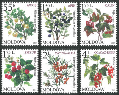 2013 829 Moldova Flora - Berries MNH - Moldavie