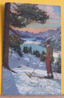 (ART/FNT) VEDUTA DI MONTAGNA CON SCIATORE 315/1  - NON VIAGGIATA - Winter Sports