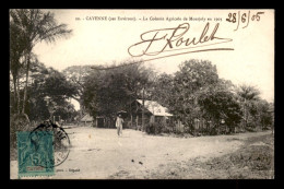 GUYANE - ENVIRONS DE CAYENNE -  LA COLONIE AGRICOLE DE MONTJOLY EN 1903 - Sonstige & Ohne Zuordnung