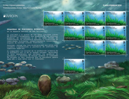 ESPAGNE SPANIEN  SPAIN ESPAÑA 2024 EUROPE IBIZA UNDERWATER FLORA AND FAUNA. OCEANIC POSIDONIA PREMIUN PANE ED 5746 - Ungebraucht