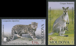 2013 837 Moldova Fauna - Kishinev Zoo MNH - Moldavië