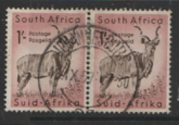 South Africa 1955  SG   175 1/-d  Fine Used - Nuovi