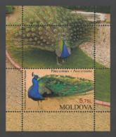 2013 837 Moldova Fauna - Kishinev Zoo MNH - Moldavië