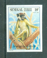 REPUBLIQUE DU SENEGAL - N°1193 Sans Gomme - Faune. Primates Du Sénégal. - Senegal (1960-...)