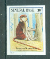 REPUBLIQUE DU SENEGAL - N°1194 Sans Gomme - Faune. Primates Du Sénégal. - Mono