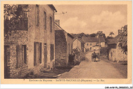 CAR-AAWP6-53-0464 - ENVIRONS DE MAYENNE - SAINTE-BAUDELLE - Le Roc - Mayenne