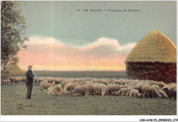 CAR-AAWP3-28-0251 - EN BEAUCE - Troupeau De Moutons - Chartres